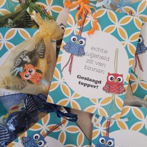 Geslaagd van de RITHA-opleiding hoogbegaafdheid in het onderwijs